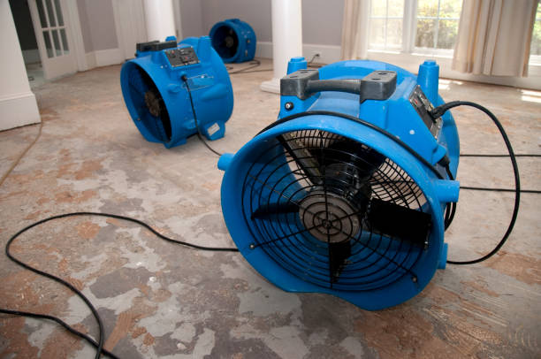 Best Water damage contractors near me  in Espaola, NM