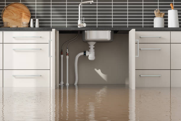 Best Water damage restoration near me  in Espaola, NM