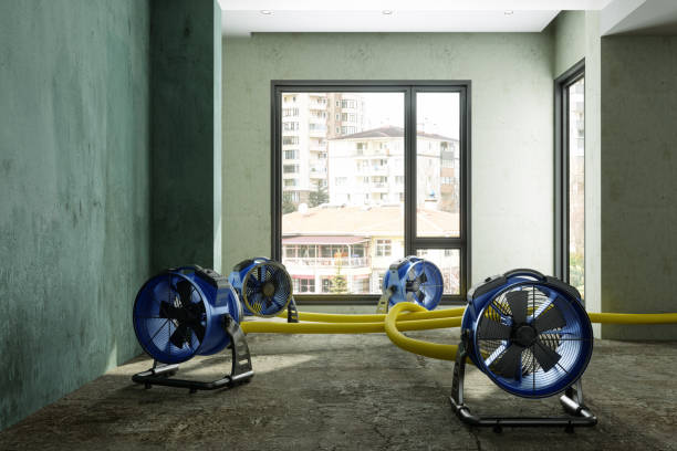 Best Sewage cleanup and water damage restoration  in Espaola, NM